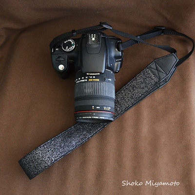 Canon 5d Mark Iv Vs Canon Eos R Pictureline